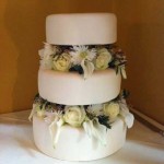 Cakes by Alison Seagrave