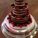 Cakes by Alison Seagrave
