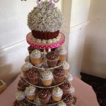 Cakes by Alison Seagrave