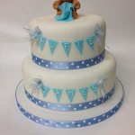 Cakes by Alison Seagrave