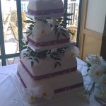 Cakes by Alison Seagrave