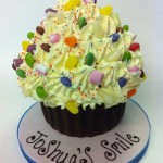 Cakes by Alison Seagrave