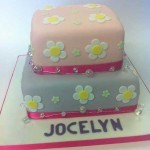 Cakes by Alison Seagrave