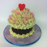 Cakes by Alison Seagrave