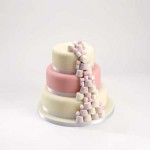 Cakes by Alison Seagrave