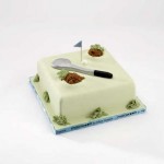 Cakes by Alison Seagrave