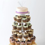 Wedding Cake and Cupcakes with Stand